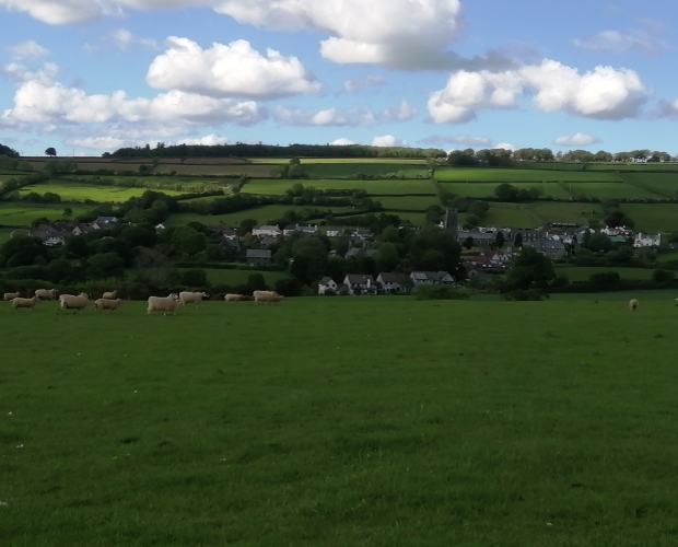 Public grateful for benefits countryside visits bring to mental and physical health, new survey finds